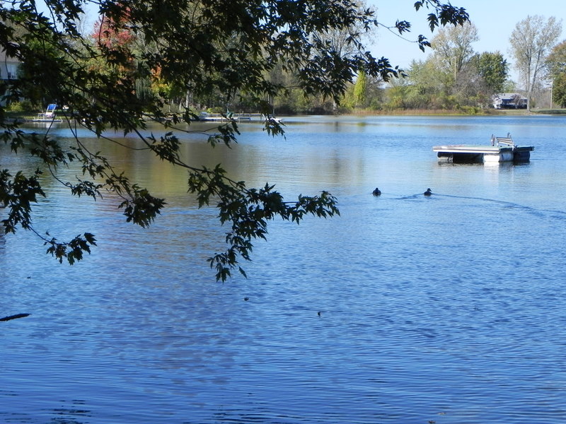 Real Estate Bass Lake Homes For Sale Hamburg Twp Michigan